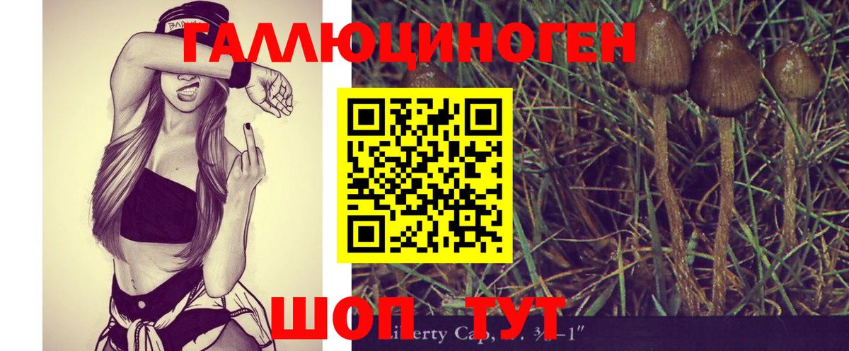 Галлюциногенные грибы GOLDEN TEACHER Железногорск