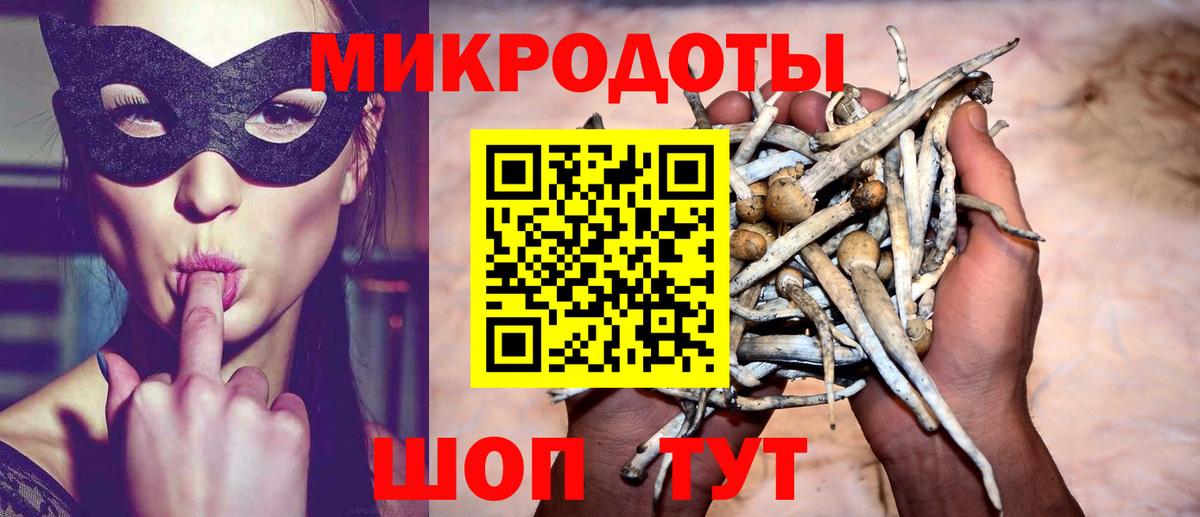 Железногорск  Псилоцибиновые грибы Magic Shrooms  Вход с VPN  Галлюциногенные грибы Psilocybe 